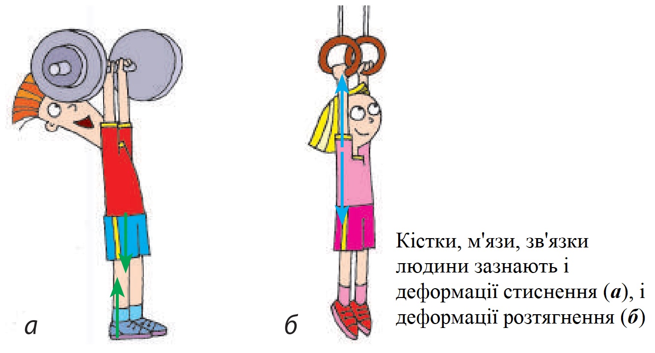 Деформації стиснення та розтягнення