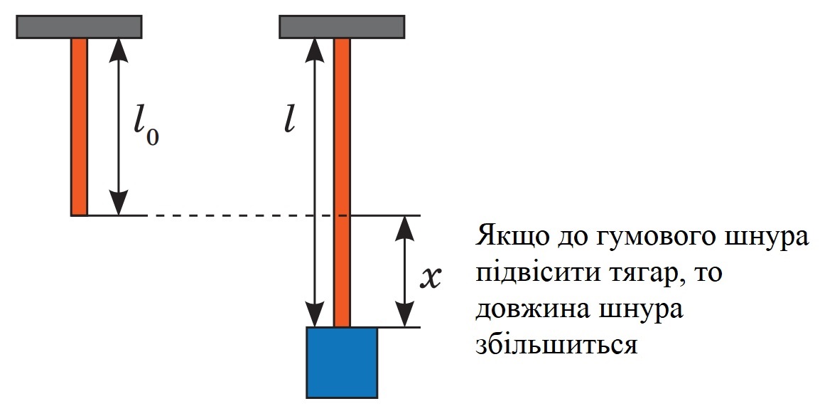 Якщо до гумового шнура підвісити тягар, то довжина шнура збільшиться
