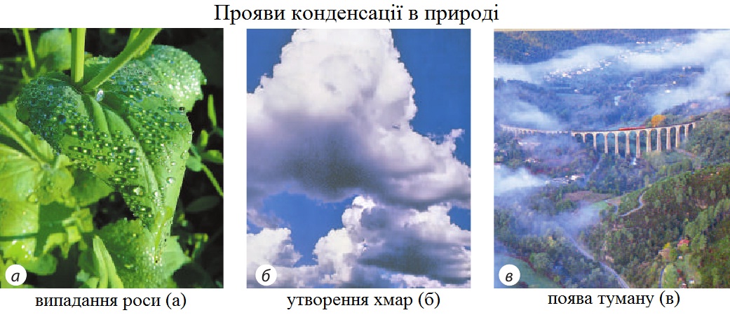 Прояви конденсації в природі