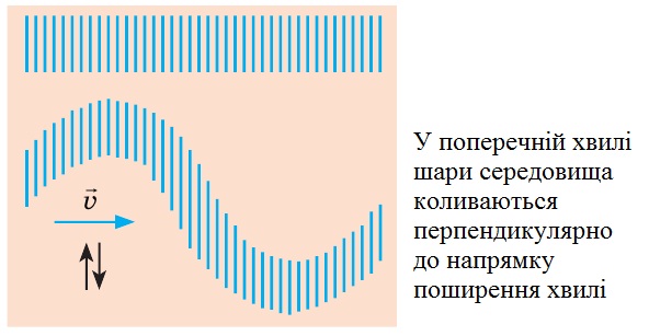 Поперечна хвиля